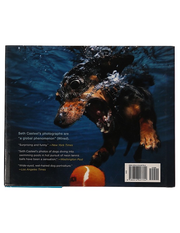 Underwater dogs - Casteel, Seth - Lemmikki- ja luontokirjat - 10105345781 - 1