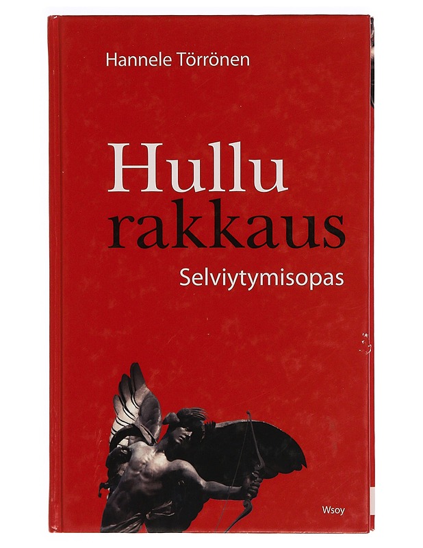 Hullu rakkaus : selviytymisopas - Hannele Törrönen - Tietokirjat ja oppaat - 10105345866 - 0