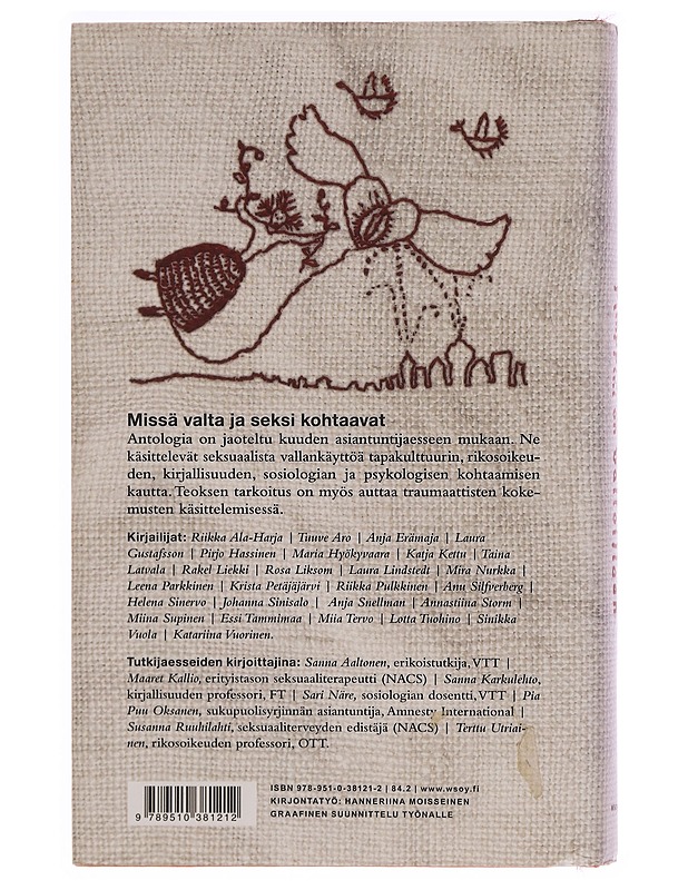 Pimppini on valloillaan: naisiin kohdistuva seksuaalinen vallankäyttö - Katja Kettu, Krista Petäjäjärvi - Tietokirjat - 10105346079 - 1