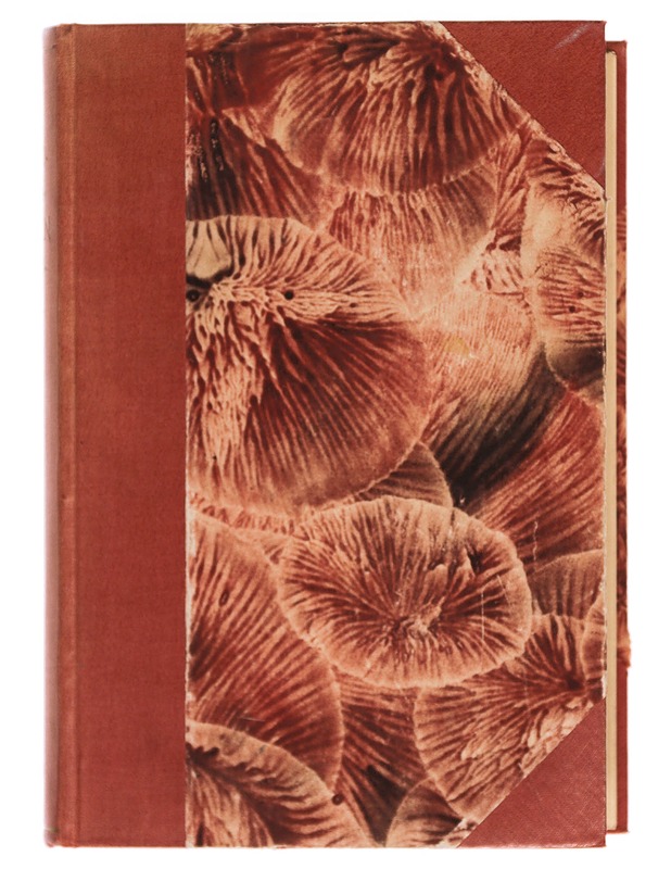 Sosiaalidemokratian vuosisata  - Historiakirjat - 10105346494 - 0