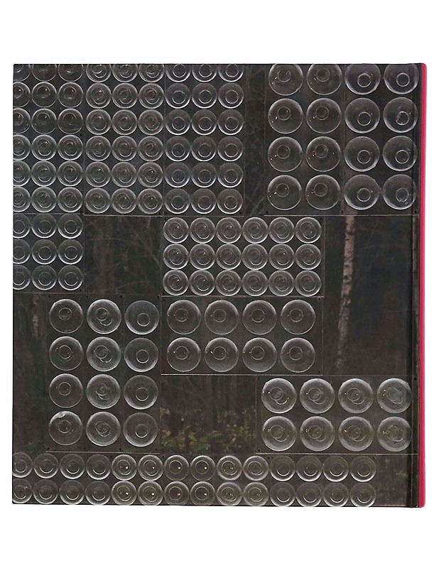 Synligt - osynligt : en inblick i Stiftelsen Pro Artibus konstsamling - Westerholm, Sabina - Taide- ja kulttuurikirjat - 10105347970 - 1