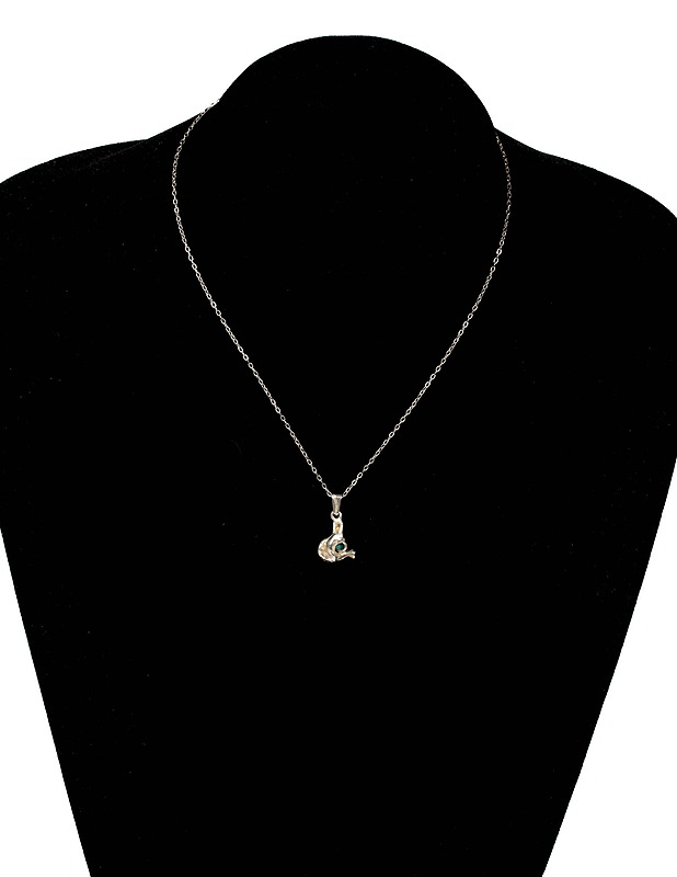 Hopeinen kaulakoru riipuksella - Korut - 10105348416 - 0