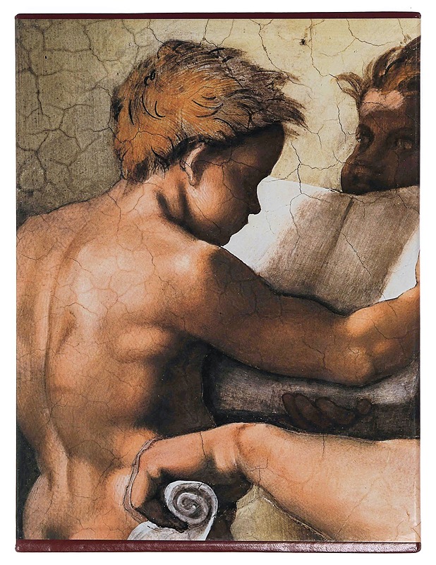 Michelangelo : Vatikaanin freskot - De Vecchi, Pierluigi - Historiakirjat - 10105348503 - 3
