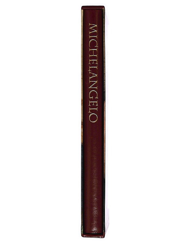 Michelangelo : Vatikaanin freskot - De Vecchi, Pierluigi - Historiakirjat - 10105348503 - 1