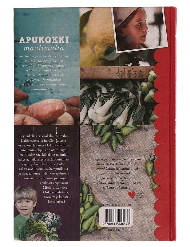 Apukokki maailmalla - Järvinen, Miikka - Ruokakirjat - 10105349737 - 1