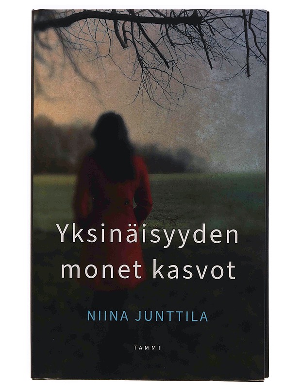 Yksinäisyyden monet kasvot - Niina Junttila - Hyvinvointikirjat - 10105349784 - 0