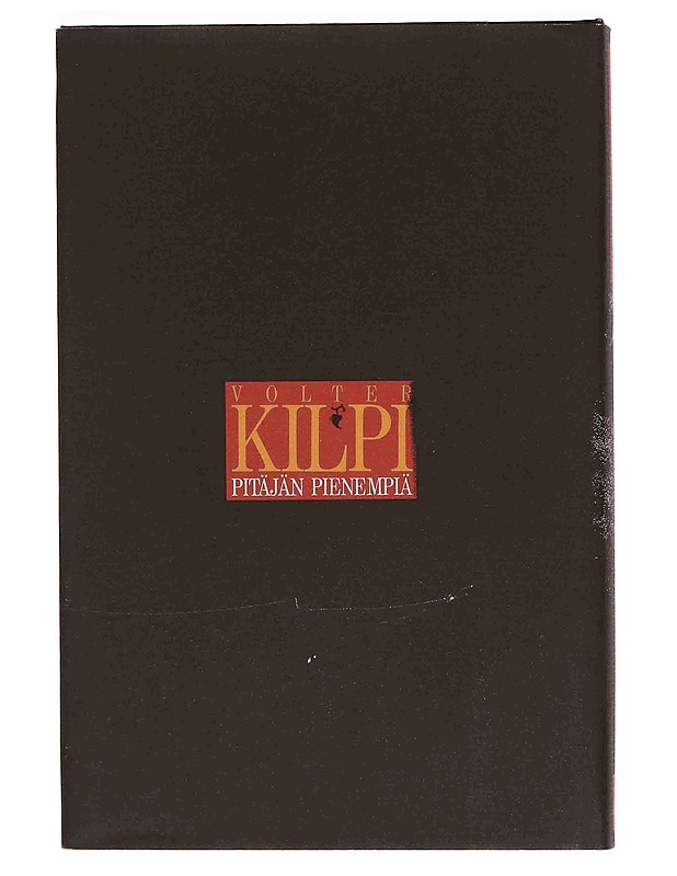 Pitäjän pienempiä - Volter Kilpi - Romaanit ja novellit - 10105350254 - 1