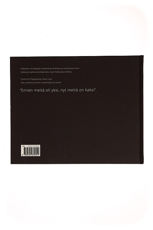 Lentäjäsankarit : Poppis & pikkuveli - Satu Mali - Lastenkirjat - 10105350465 - 1