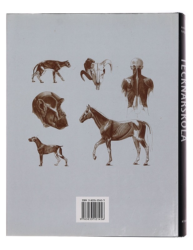 Anatominen piirustuskoulu: ihminen, eläin, vertaileva anatomia - András Sxunyoghy ja György Fehér - Tietokirjat ja oppaat - 10105353300 - 1