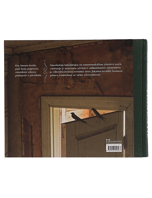 Linnuntie - Lasse Kylänpää - Tietokirjat ja oppaat - 10105354267 - 1