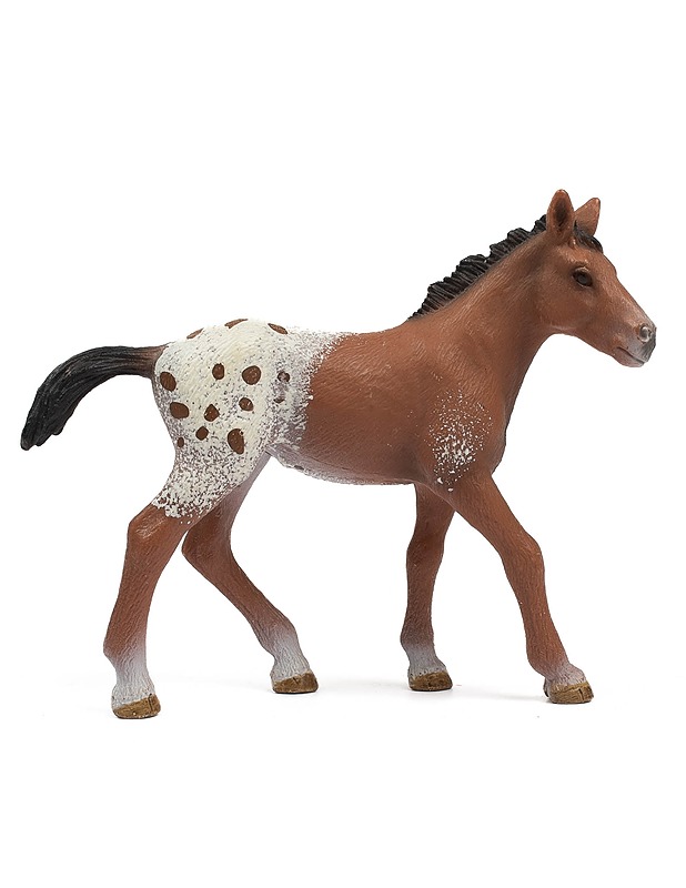 SCHLEICH 13733 Appaloosan varsa Figuuri - Lasten lelut - 10105354533 - 0