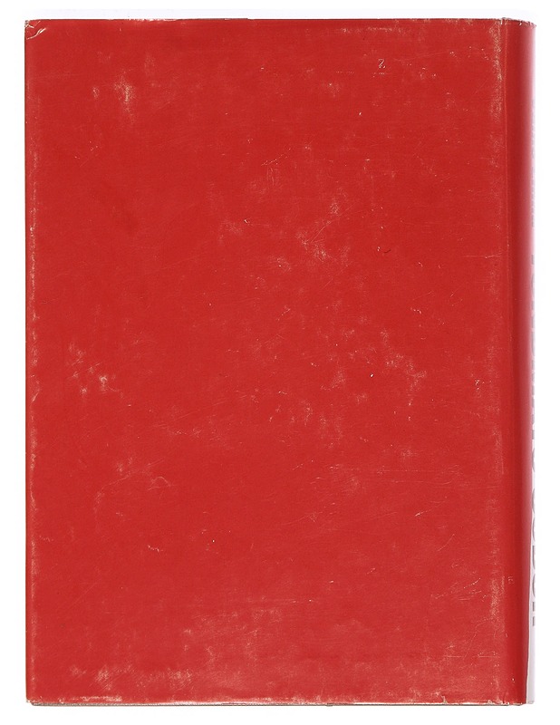 Tundmatu sõdur - Linna, Väinö - Romaanit ja novellit - 10105355365 - 1