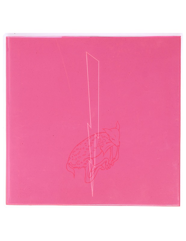 Ana Laura - Taide- ja kulttuurikirjat - 10105355772 - 0