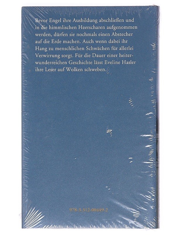 Engel im zweiten lehrjahr - Eveline Hasler - Romaanit ja novellit - 10105356142 - 1