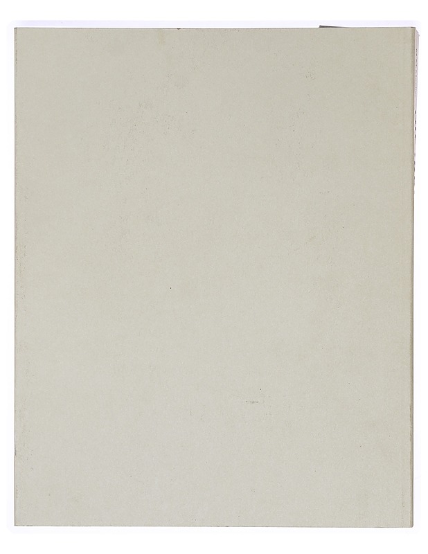 Suomenkielinen tekstiosa näyttelyluetteloon Die Brücke : Zeichnungen, Aquarelle, Druckgraphik aus dem Brücke-Museum Berlin - Brücke - Taide- ja kulttuurikirjat - 10105356527 - 1