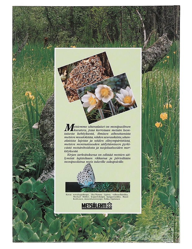 Metsiemme uhanalaiset - Jauhiainen, Hannu - Tietokirjat ja oppaat - 10105357854 - 1