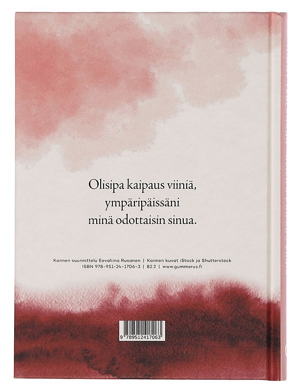 Olisipa kaipaus viiniä - Tommy Tabermann - Romaanit ja novellit - 10105358014 - 1