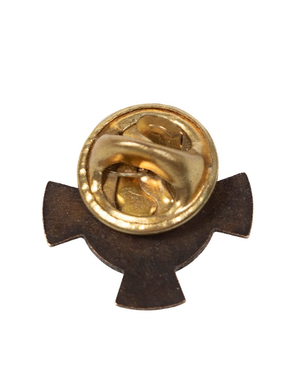 Suomen Veteraaniliitto jäsenmerkki - Korut - 10105358261 - 1