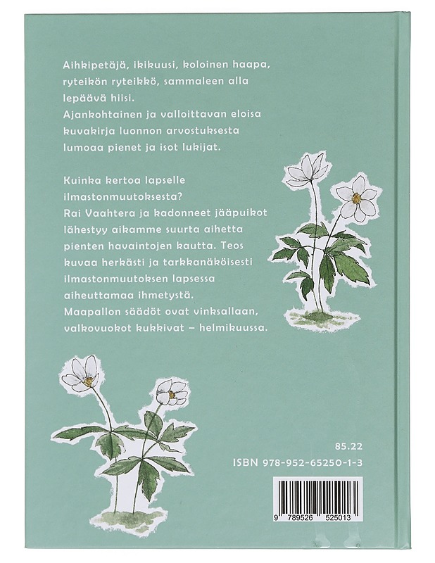 Rai Vaahtera ja kadonneet jääpuikot - Oka, Sakari - Lastenkirjat - 10105358385 - 1