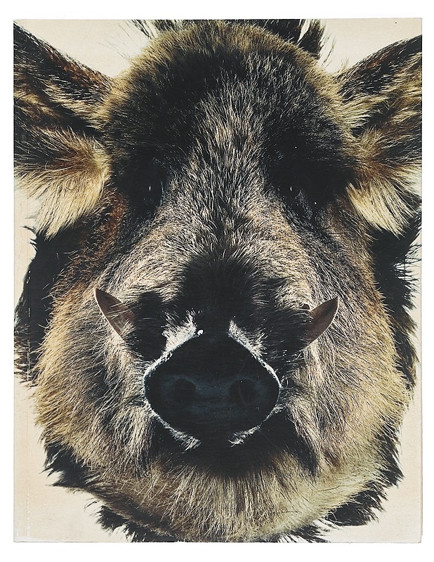 Revelations : the 11 years of Taivas - Mikko Männistö & Linda Linko - Taide- ja kulttuurikirjat - 10105358768 - 0