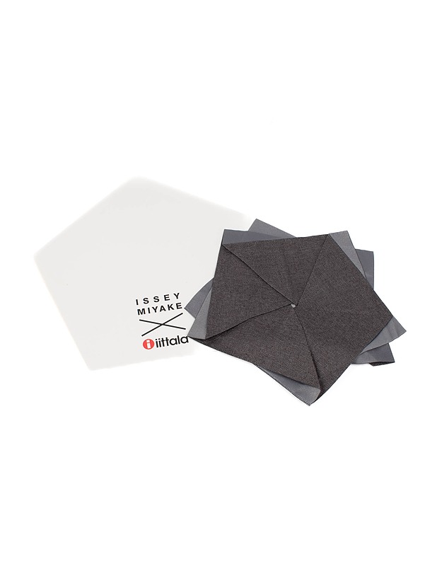 IITTALA x Issey Miyake pöytäkukkanen - Designsuosikit - 10105359135 - 0