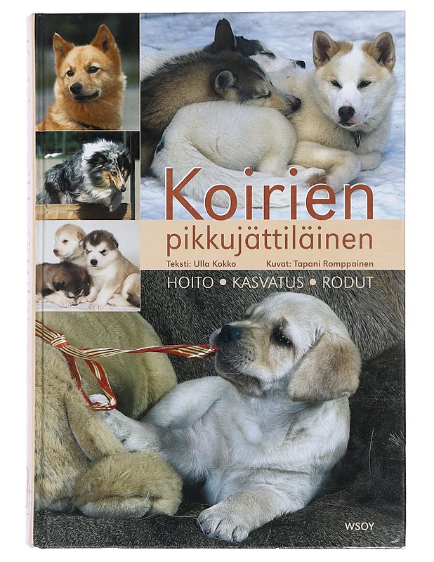 Koirien pikkujättiläinen : hoito, kasvatus, rodut - Kokko, Ulla - Tietokirjat ja oppaat - 10105359179 - 0