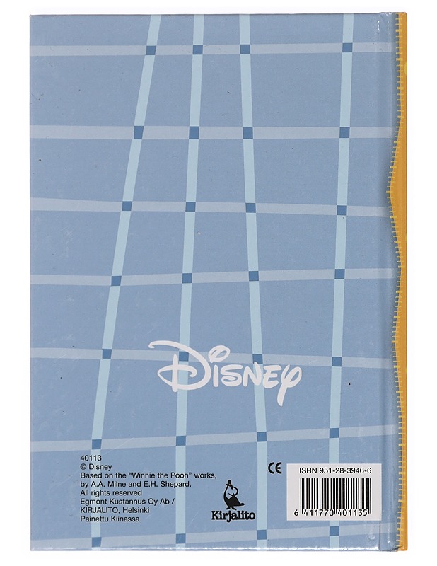 Ikioma Kalenterini - Disney - Harrastekirjat - 10105359852 - 1