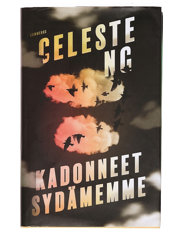 Kadonneet sydämemme - Ng, Celeste - Romaanit ja novellit - 10105360054 - 0