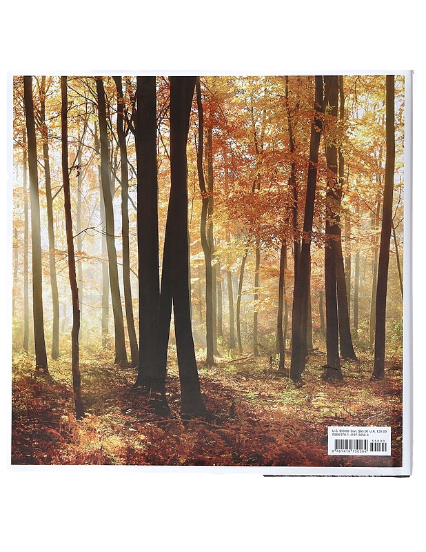 The life & love of the forest - Lewis Blackwell - Tietokirjat ja oppaat - 10105361872 - 1