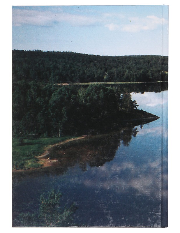 Kalksalo : kylä Lumivaarassa - Viitanen, Risto - Historiakirjat - 10105362744 - 1