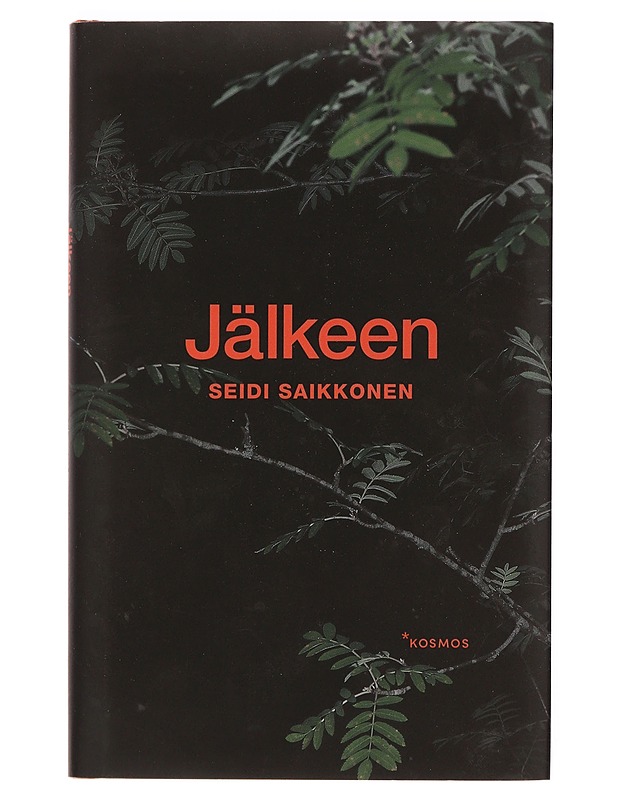 Jälkeen - Seidi Saikkonen - Romaanit ja novellit - 10105363470 - 0