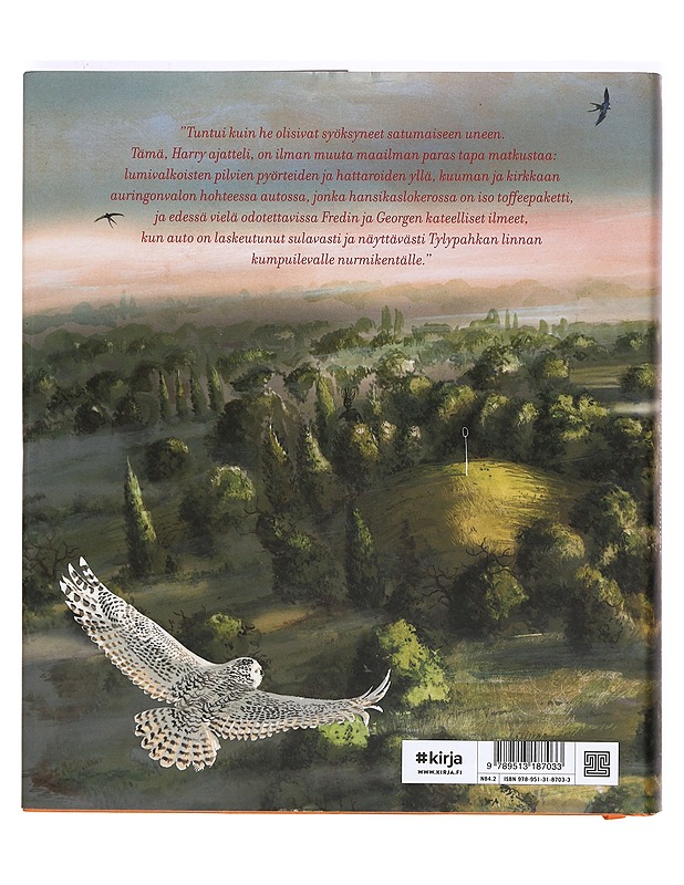 Harry Potter ja salaisuuksien kammio - Rowling, J. K. - Fantasia- ja scifi - 10105363734 - 1