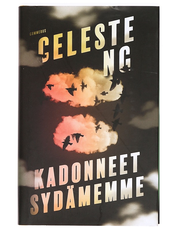 Kadonneet sydämemme - Ng, Celeste - Romaanit ja novellit - 10105364130 - 0