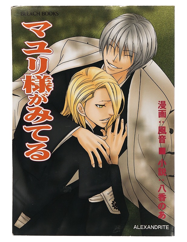 Bleach books - Sarjakuvat - 10105364913 - 0
