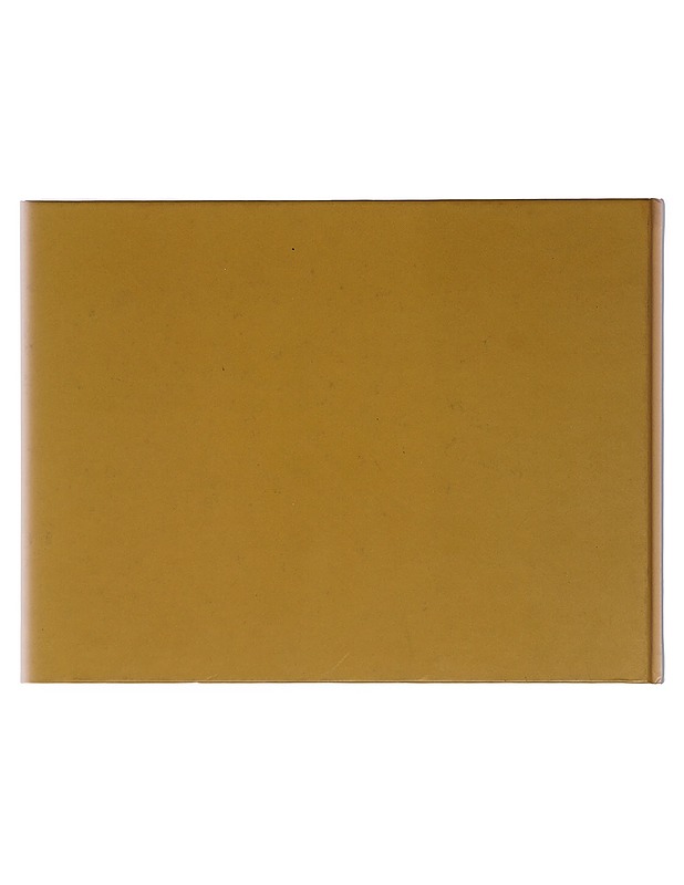 Antero Toikka : Tilan aika = Time of space - Salmi, Vexi - Taide- ja kulttuurikirjat - 10105365933 - 1