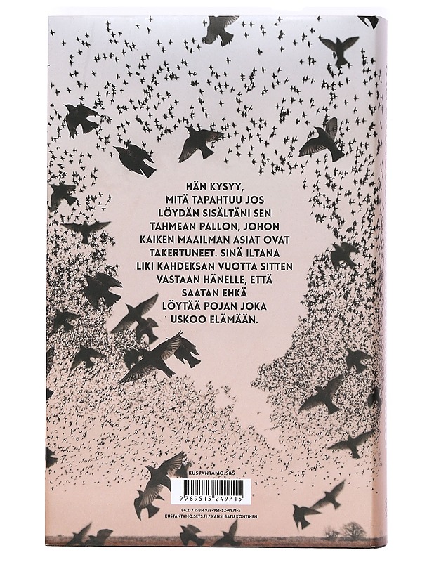 Ilma joka meitä ympäröi - Malmquist, Tom - Romaanit ja novellit - 10105366204 - 1