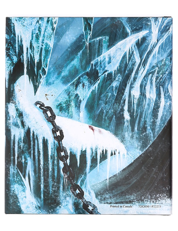 The Art of World of Warcraft Wrath Of The Lich King - Tietokirjat - 10105368897 - 1
