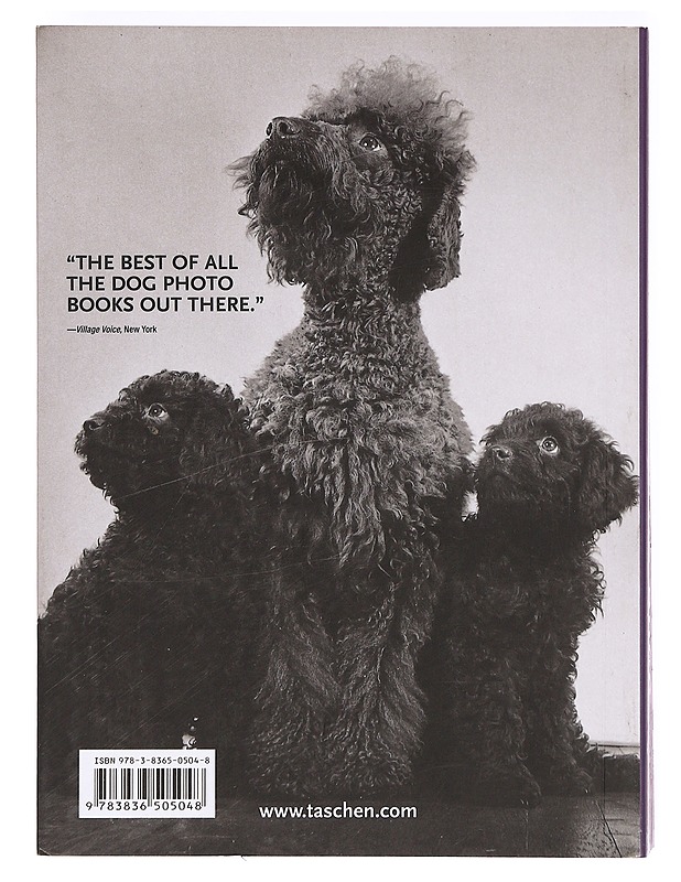 1000 dogs = 1000 Hunde = 1000 ciens - Merritt, Raymond W. - Taide- ja kulttuurikirjat - 10105372843 - 1