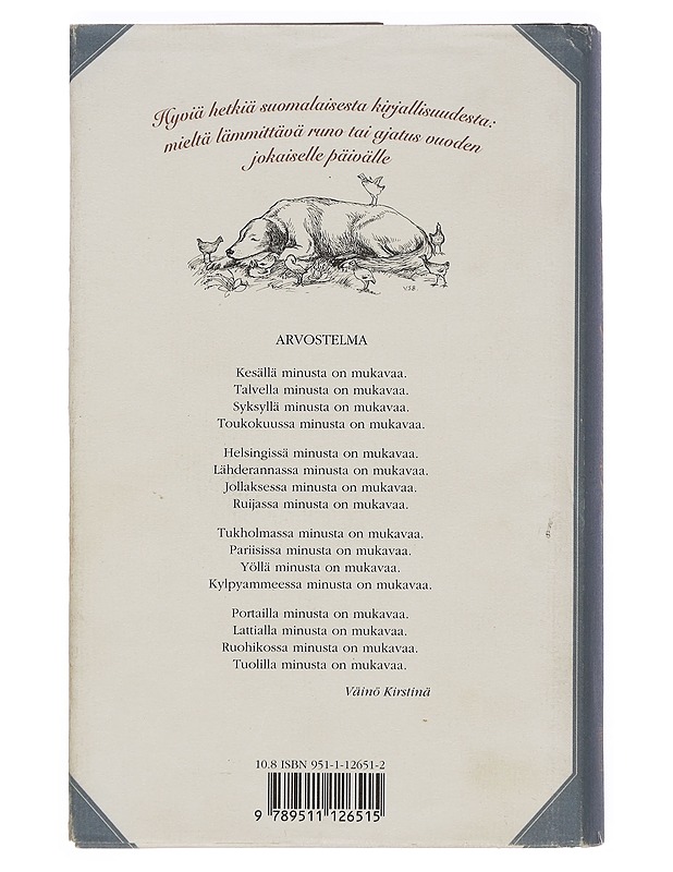 Hyvien päivien kirja - Saure, Salme - Romaanit ja novellit - 10105373522 - 1