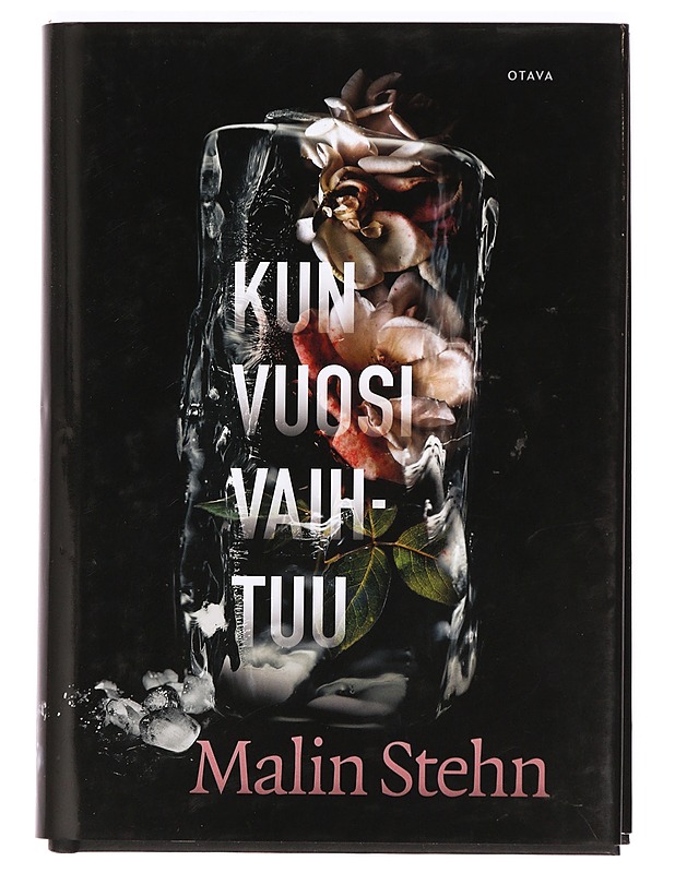 Kun vuosi vaihtuu - Stehn, Malin - Jännitys ja dekkarit - 10105373582 - 0