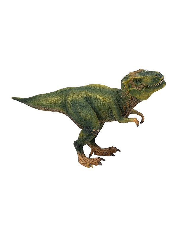 SCHLEICH Tyrannosaurus Rex figuuri - Lasten lelut - 10105374647 - 0