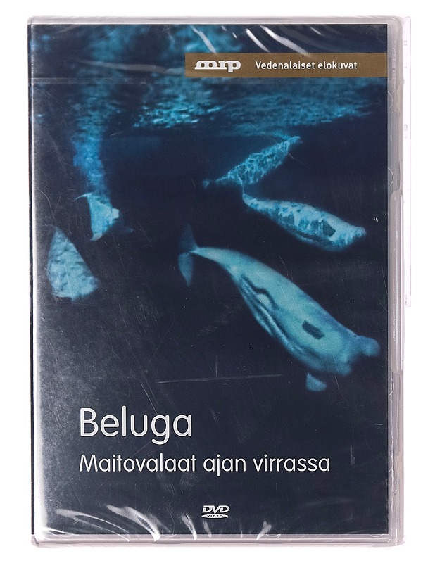 Beluga - Maitovalaat ajan virrassa - DVD - DVD-elokuvat - 10105375079 - 0