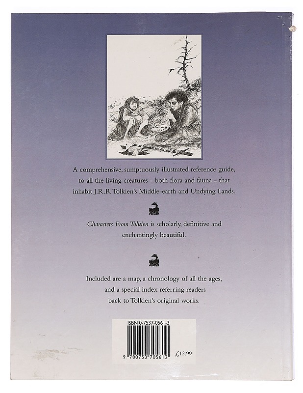 CHARACTERS FROM TOLKIEN - DAVID DAY - Fantasia- ja scifi - 10105377403 - 1