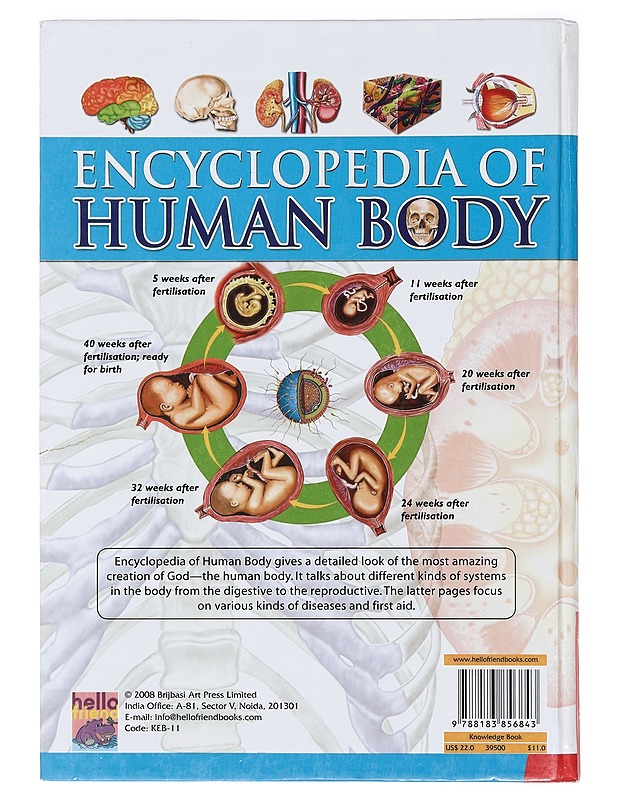 Human Body - Hello Friend - Tietokirjat ja oppaat - 10105377951 - 1