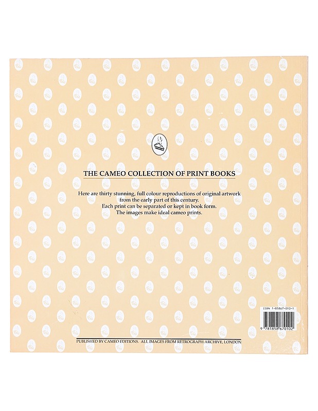 The art of food - Jilliana Ranicar-Breese - Taide- ja kulttuurikirjat - 10105378552 - 1