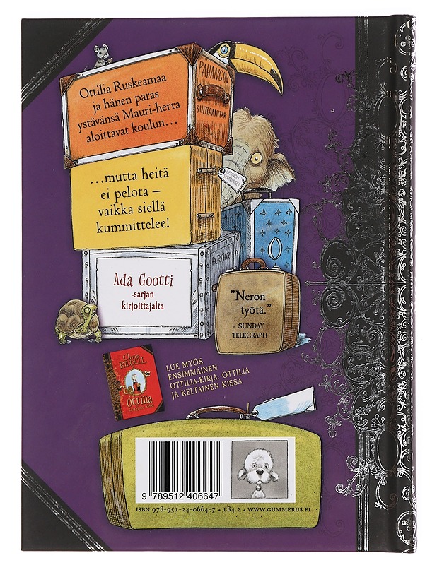 Ottilia menee kouluun - Chris Riddell - Lastenkirjat - 10105379272 - 1