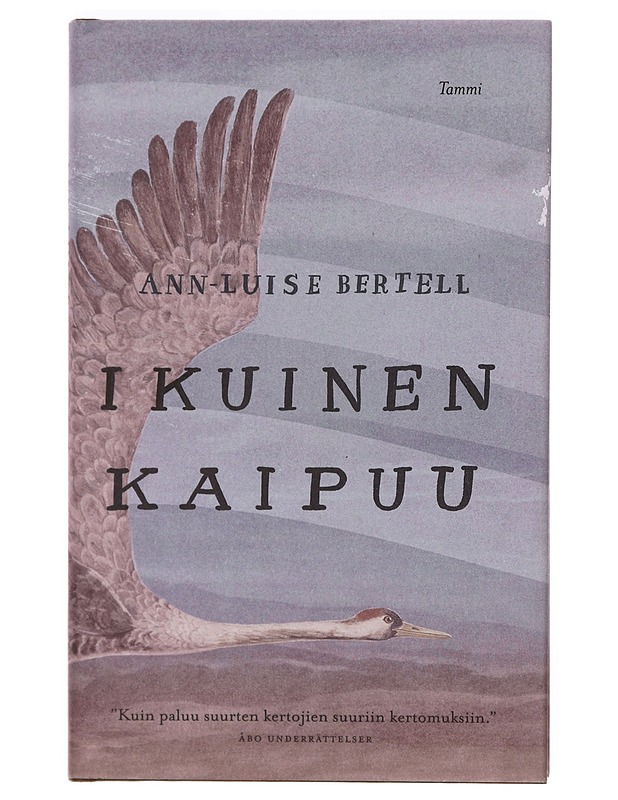 Ikuinen kaipuu - Ann-Luise Bertell - Romaanit ja novellit - 10105379457 - 0
