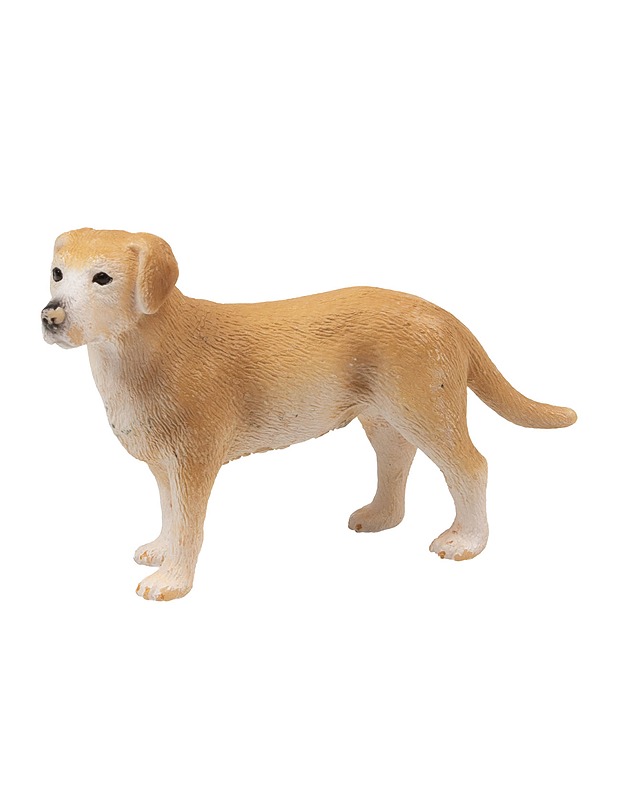 SCHLEICH labdadorinnoutaja figuuri - Lasten lelut - 10105379481 - 0