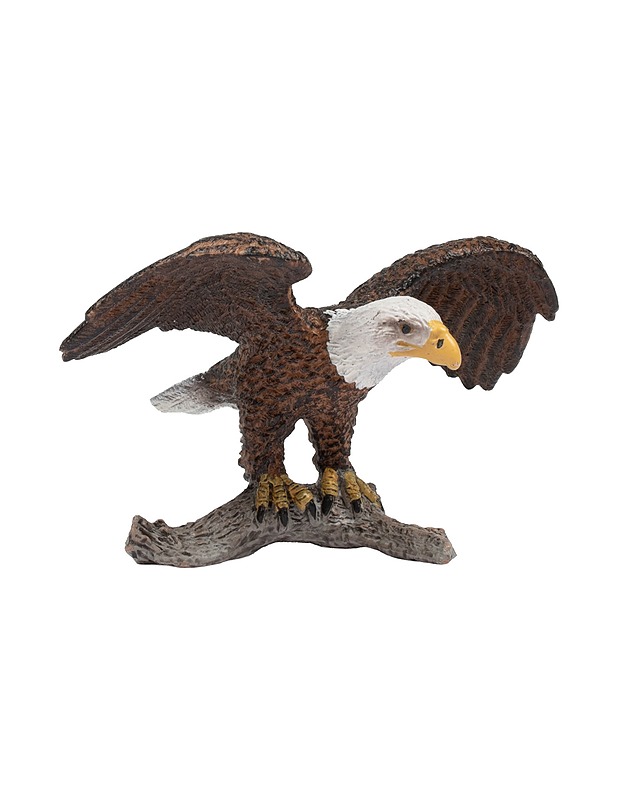 SCHLEICH Valkopäämerikotka figuuri - Lasten lelut - 10105380015 - 0