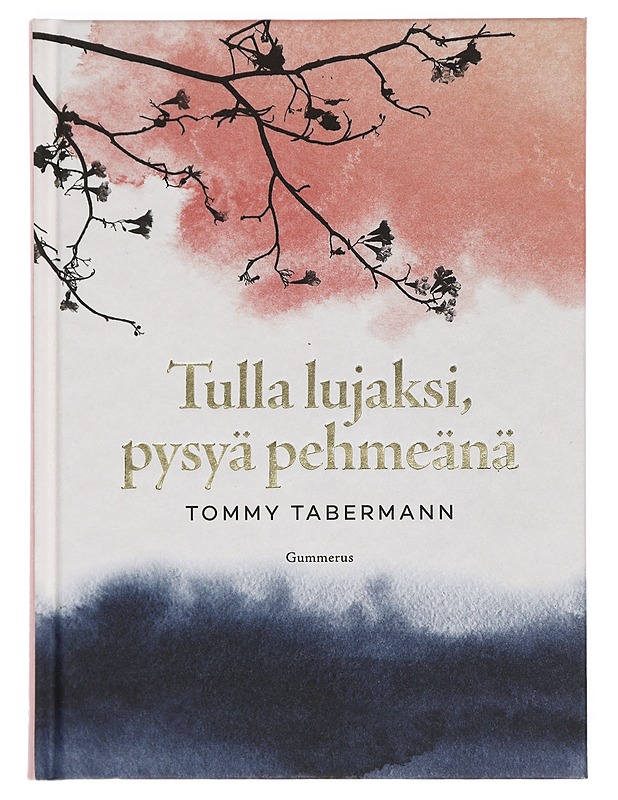 Tulla lujaksi, pysyä pehmeänä - Tommy Tabermann - Romaanit ja novellit - 10105381300 - 0
